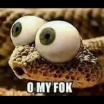 18
2
Stop
looking for
kak