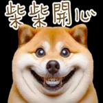 圓柴柴4：柴腹自由 薯條加大