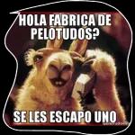 nuevos