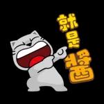 貓爪抓 -名人堂‧實在好抓-