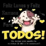jsrerrr