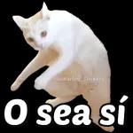Vaya pa' playa babosa. @michymartinez
