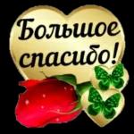 привет.