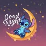 Stitch's lovely night