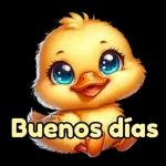 Primero que nada buenas tardes