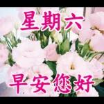 不要發送早上的圖片