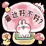 今日熱門貼紙已更新。