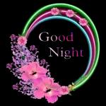 Good Night