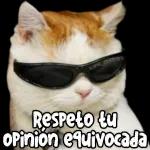 ¿Qué decía ese mensaje?