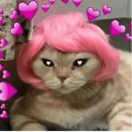 mi notificacion favorita