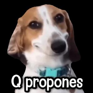 6OKQ4Y