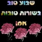 הורדה חינם, עדכונים יומיים, אין צורך בכניסה