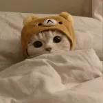  cuanta@Giseelove_StickersMaldad