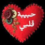 حبيبة
قلبي
