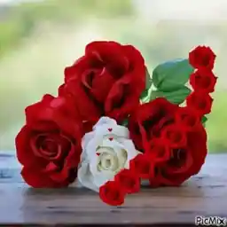 artist