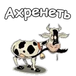 Отличного дня и привет n от меня! om