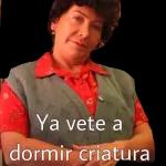 Excelente