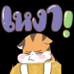ชบา ” ไม่เคย อิจฉา.. “กุหลาบ ”