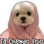 que frío 