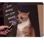 Porque eres asi conmigo?