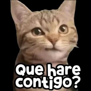 nxXpfR