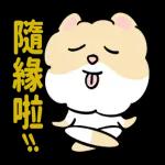 博美狗AB-不正经动起来