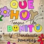 TE QELO
