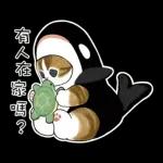 鯊魚貓咪 2