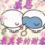 Chiikawa 長輩圖 draft