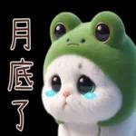 青蛙喵喵♡實用日常