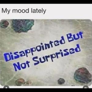 Disappointed But Not Surprised - getsticker.com