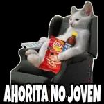 Porque eres asi conmigo?