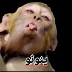 الهم قوي امان...