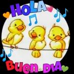 buen dia