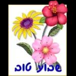 רונה