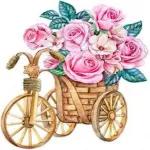 life is a beautiful ride