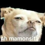 Ah mamonsita