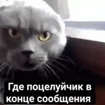 ПРИВЕТ! как дела?