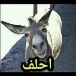 مالك شغزل