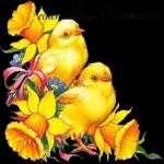 Frohe Ostern