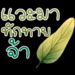 คำฮิต ภาษาดอกไม้ คนเหงา