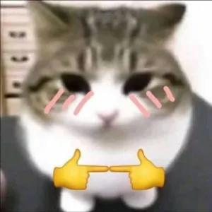 RCEMJF