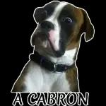  Hola AquíReportandome