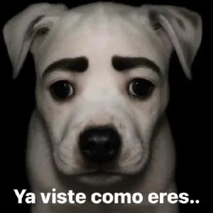 Ya viste como eres... - getsticker.com