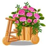 life is a beautiful ride