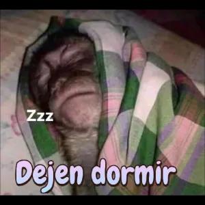 Zzz Dejen dormir - getsticker.com