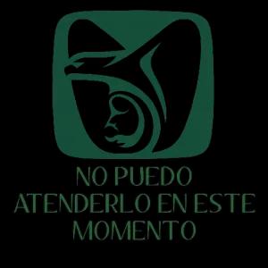 No puedo atenderlo en este momento - getsticker.com
