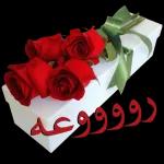 يسعد
روحك