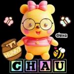 Winnie the Pooh & Have a Nice Day