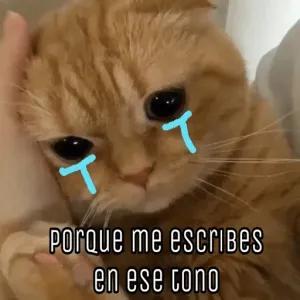 porque me escribes en ese tono - getsticker.com
